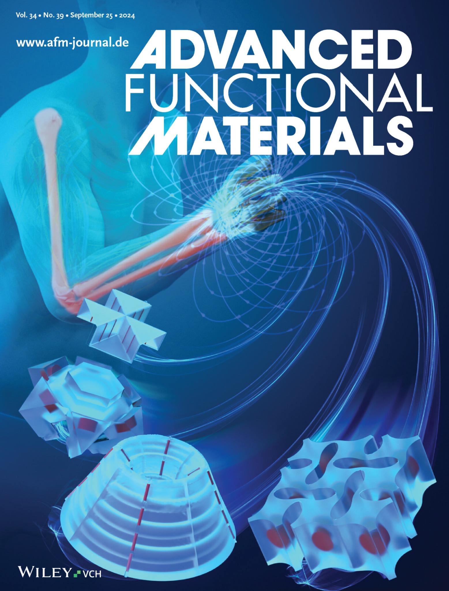 Advanced Functional Materials cover image associated with the bone-in-flesh soft actuator work.